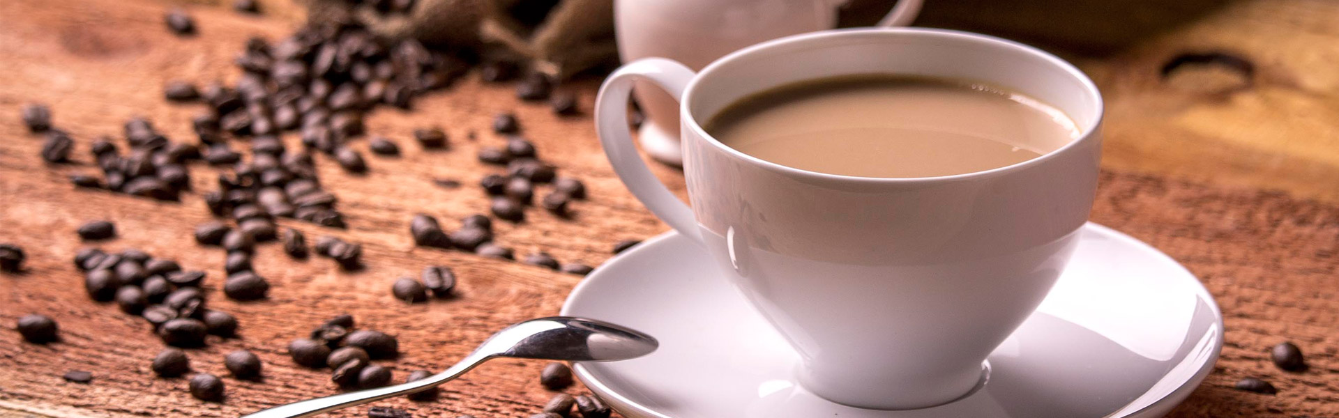 "இலையான்"  அடிப்போர்  சங்கம்.