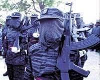 sea black tigers.jpg