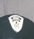 Land Black tigers badge - 1998-2000.png