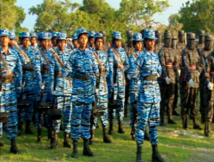 pasted image 0 (4).png