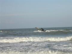 Sea black Tigers ride a patrol boat in Kallapadu, Mullaithivu coast on the Martyr's day.jpg