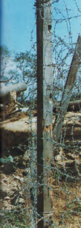 unceasing waves22.png