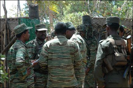 16_08_2006_tiger_fdl muhamalai.jpg