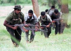 early 90s..  liberation tigers of tamil eelam-4.jpg