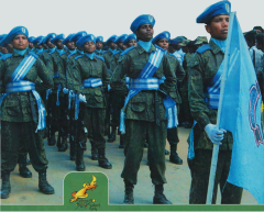 siruththai kaving knife on palu.png