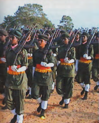 eastern regiment.png