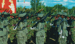 mathy 15 - anparasi regiment.png