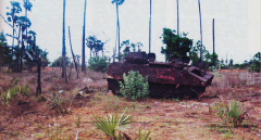 during 2001 battle.png