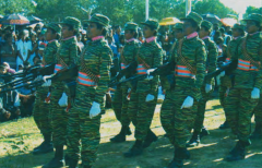 GPMG ani.png