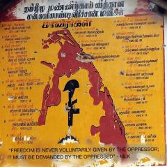 12074803_10208034202115581_2111337803278956590_n (1).jpg