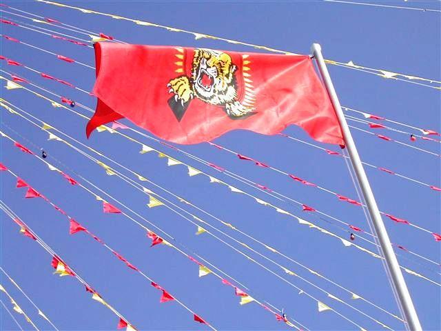 The flag of Tamil Eelam.jpg