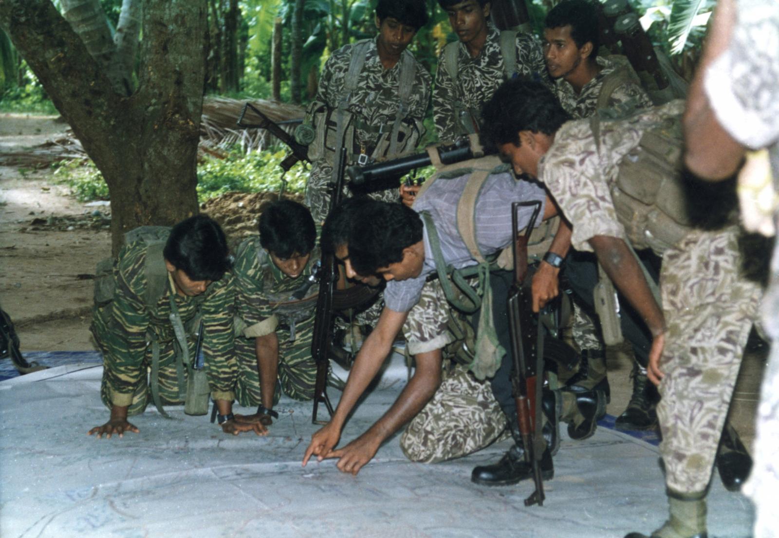 Leopard Black tigers.jpg