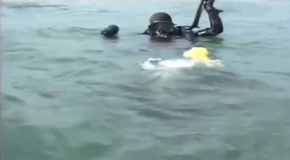 pasted image 0 (74).png