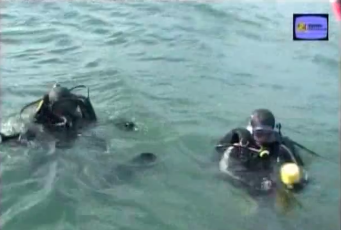 pasted image 0 (27).png