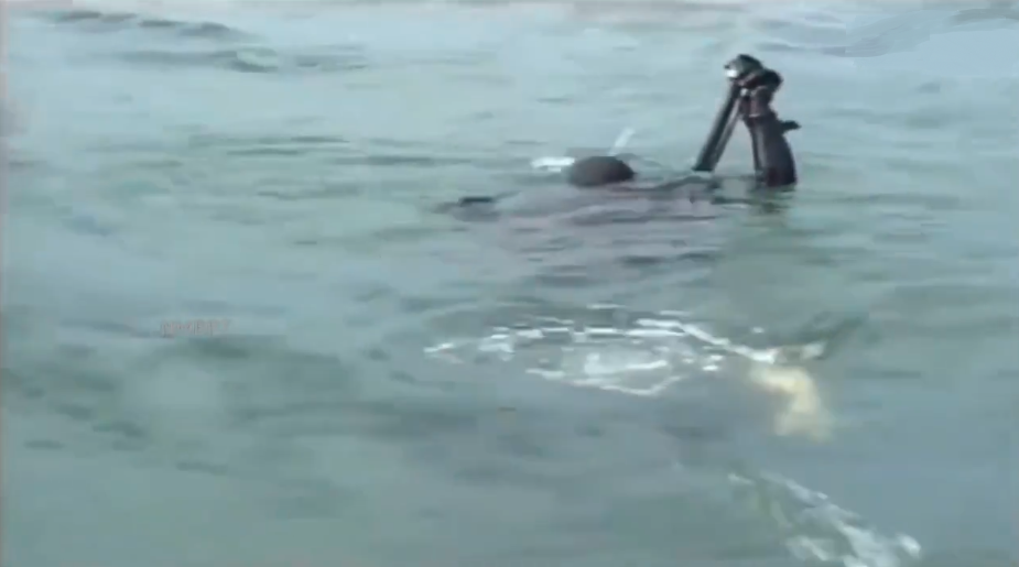 pasted image 0 (75).png