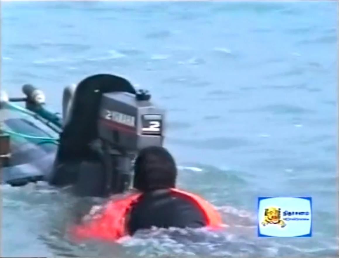 Black tiger with floting torpedo.jpg