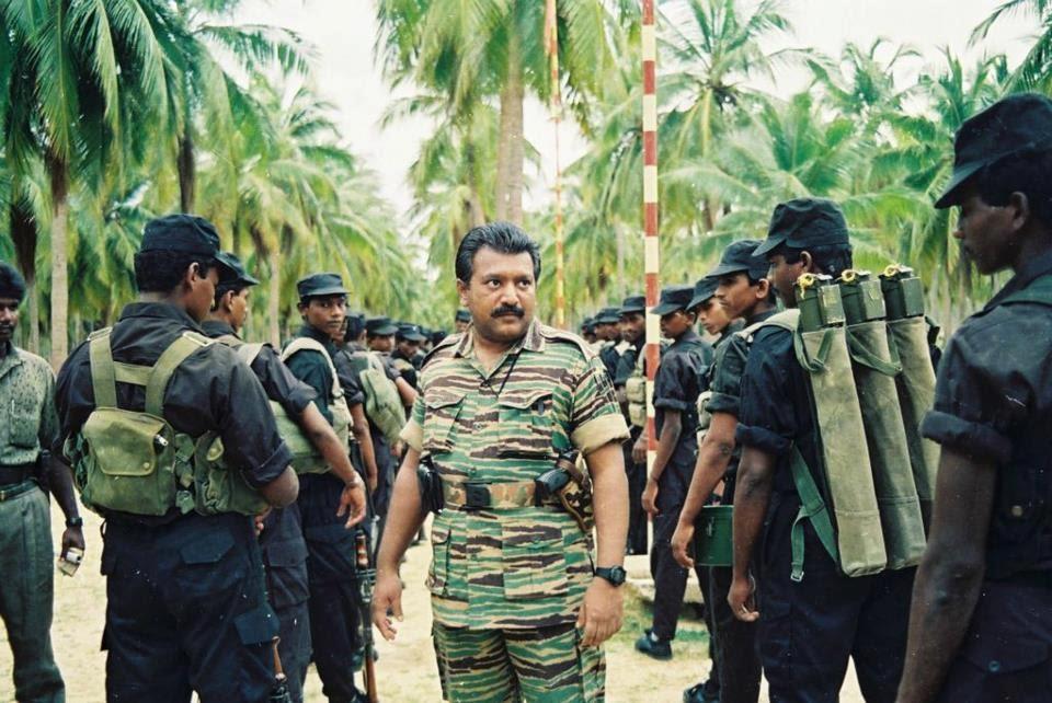 Palaali black tgers.jpg