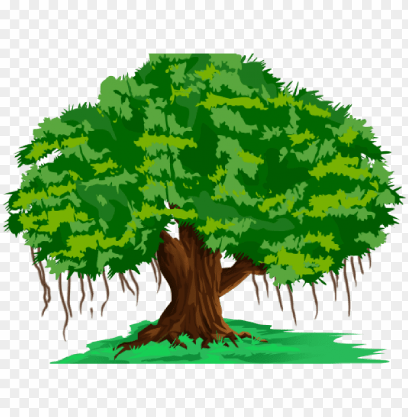 large.banyan-tree-clipart-hindi-banyan-tree-in-cartoo-11563120950oaah9etjza.png.21cff84e4b391c31fb4b350312d5c7a0.png