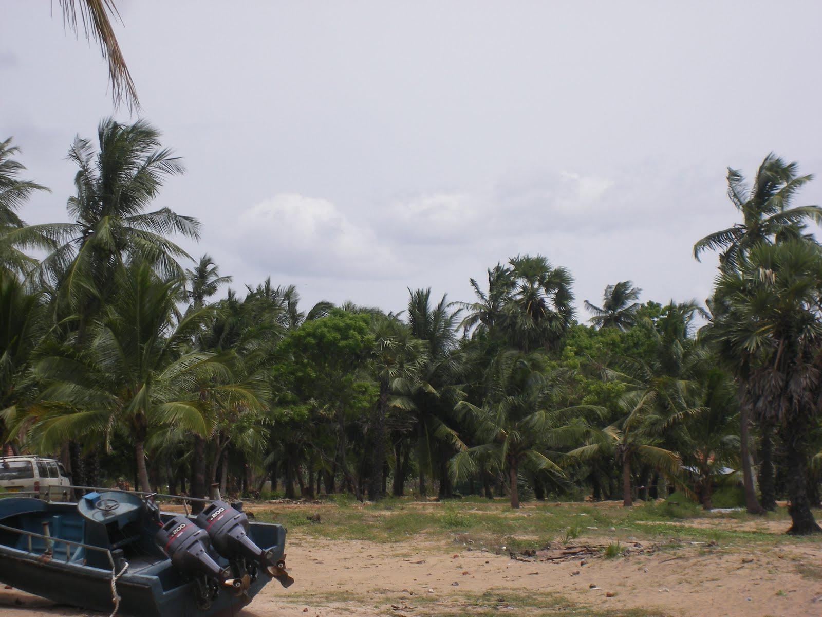 large.main-qimg-63b76d843ee5b5bf87d81698