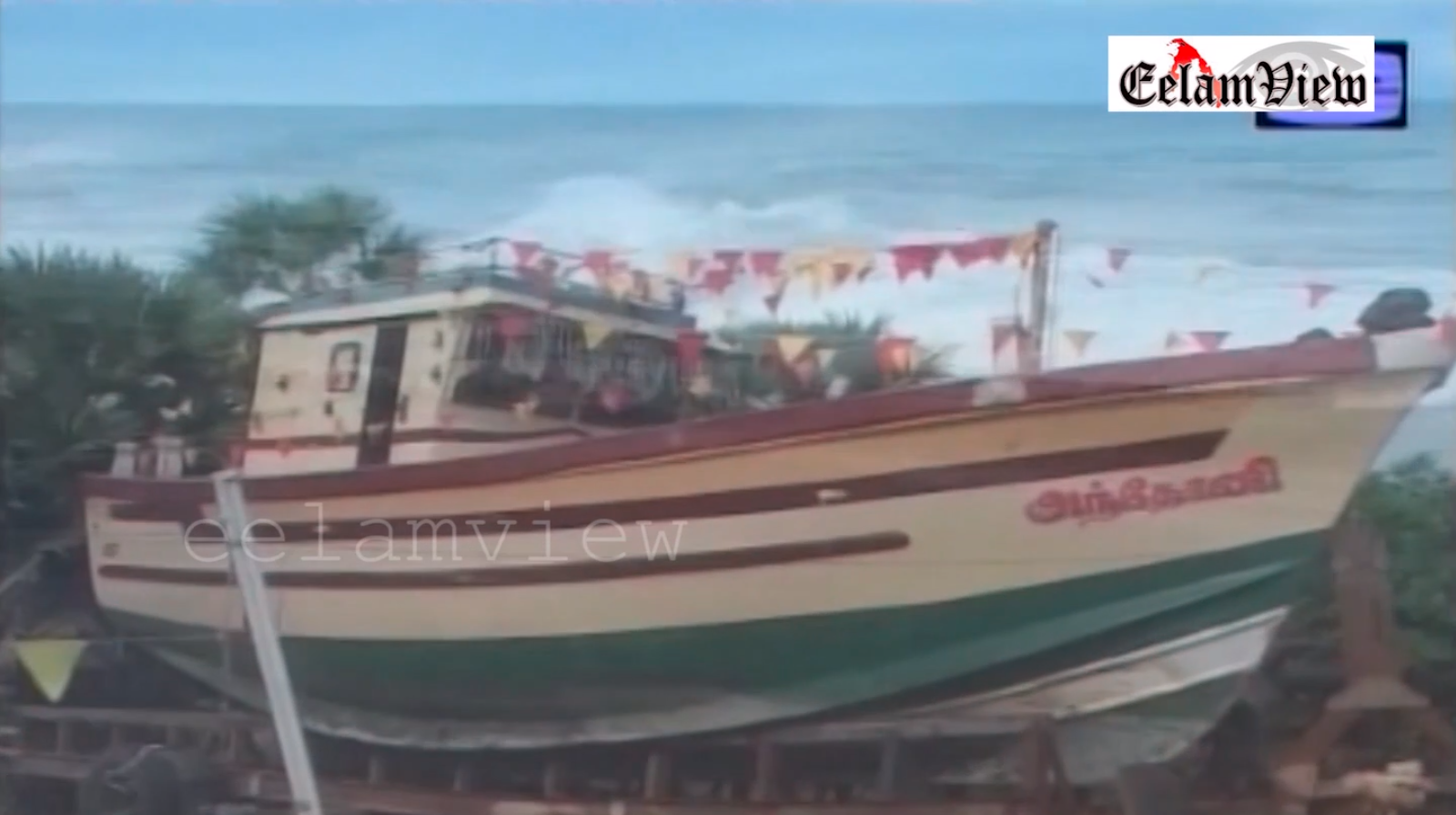 large.main-qimg-7f03062ea0b9552aa77f48f8