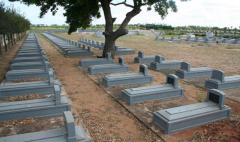 mannaar aatkaatti veli.jpg