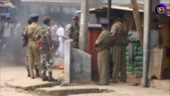 pasted image 0 (11).png