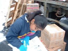 Young volunteer, Sahana, labelling boxes with relief supplies.jpg