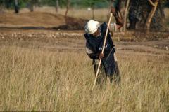 HDU worker in ttamil eelams april 2, 2005.jpg