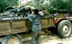 unceasing waves 2.png