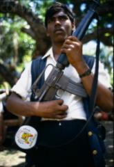 Tamil tiger ltte.jpg