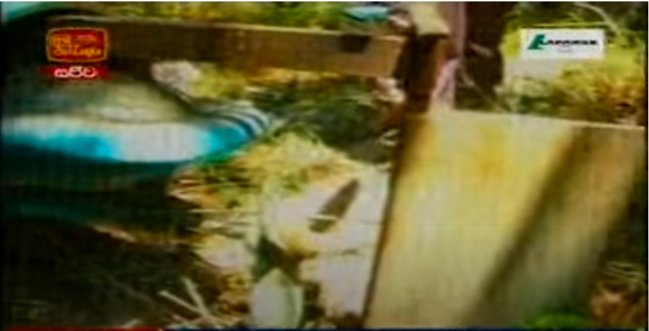 large.main-qimg-391f62ea1a84acd28465f59d