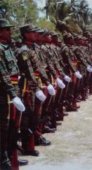 Unknown regiment of LTTE, unleashed on the first half of 2008.jpg