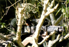 Ooyatha alaikal - 2.png