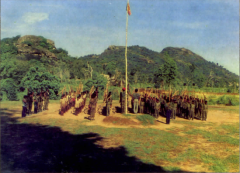 batticola cadres.png