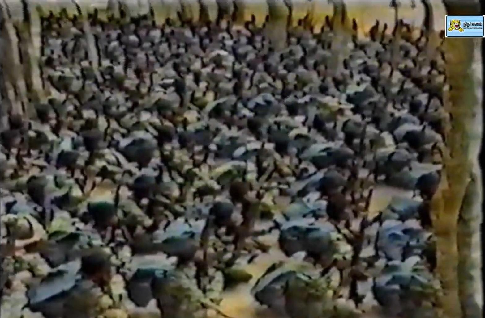 Every ltt cadre has utility back at their backs.jpg