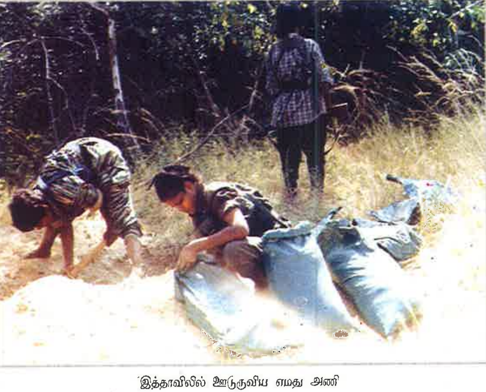 unceasing waves 3 ltte .png