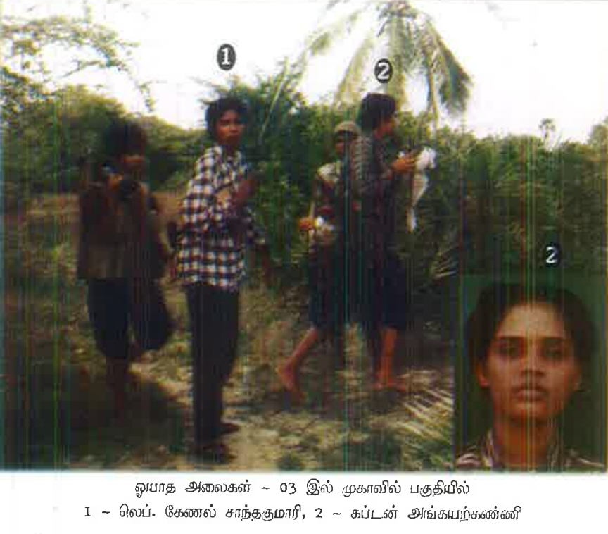 unceasing waves 3 ltte.png