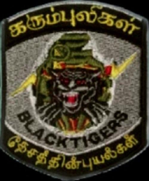 Tamil Eelam Land Black Tigers Logo - LTTE.jpg