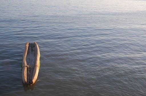 மரப்புணை, கட்டுப்புணை 3 tree.jpg