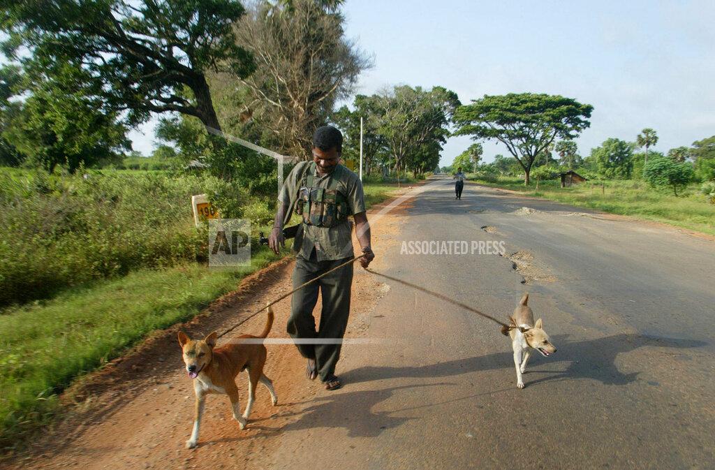 A Tamil rebel patrols with two domesticated dogs on the A9 highway in rebel controlled town of Kilinochchi, Sri Lanka, Sunday, May 14, 2006..jpg
