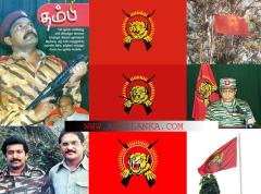 Tamil Eelam & LTT flag from its origin to its defacto state form