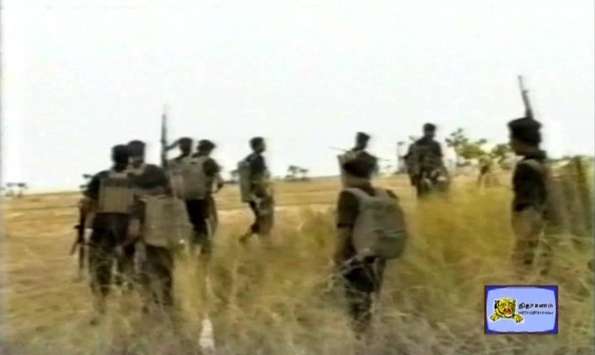 Land Black Tigers .jpg