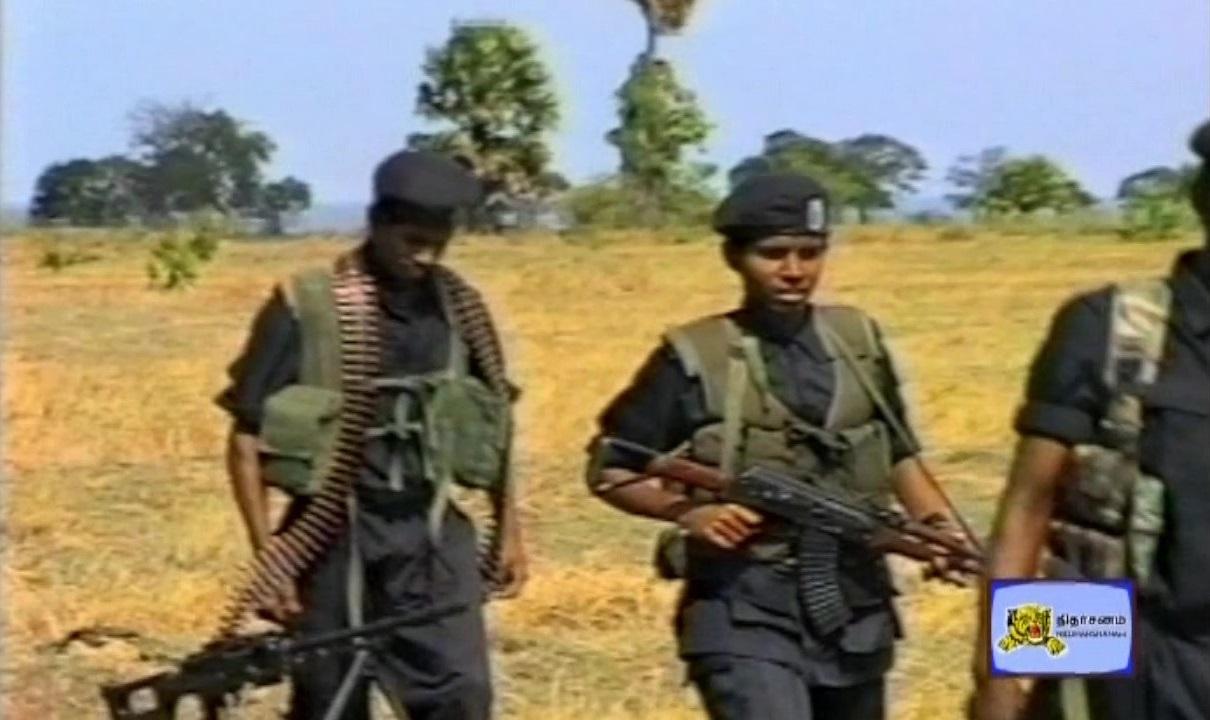 Unceasing Waves 3 Land Black Tigers.jpg