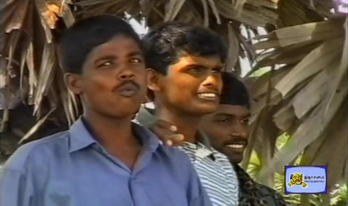 Sea Black Tigers(1).jpg