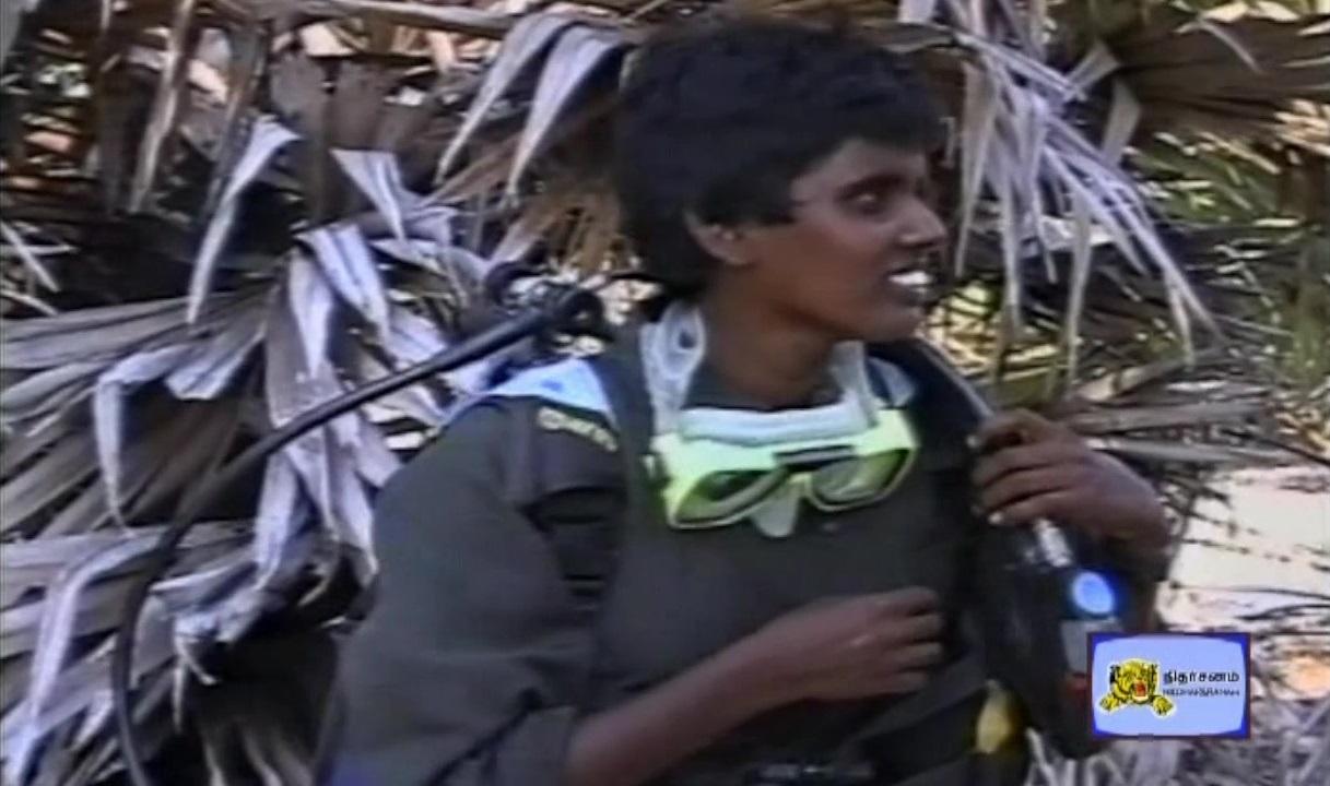 Underwater Black Tiger.jpg