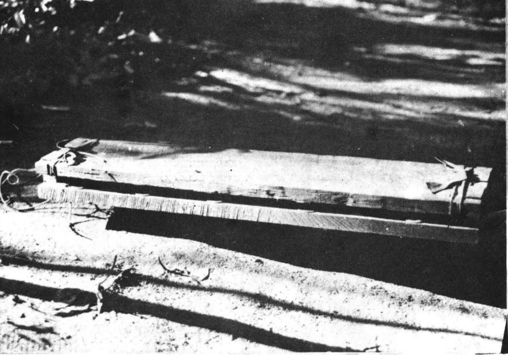 some sort of trap mechanism.png