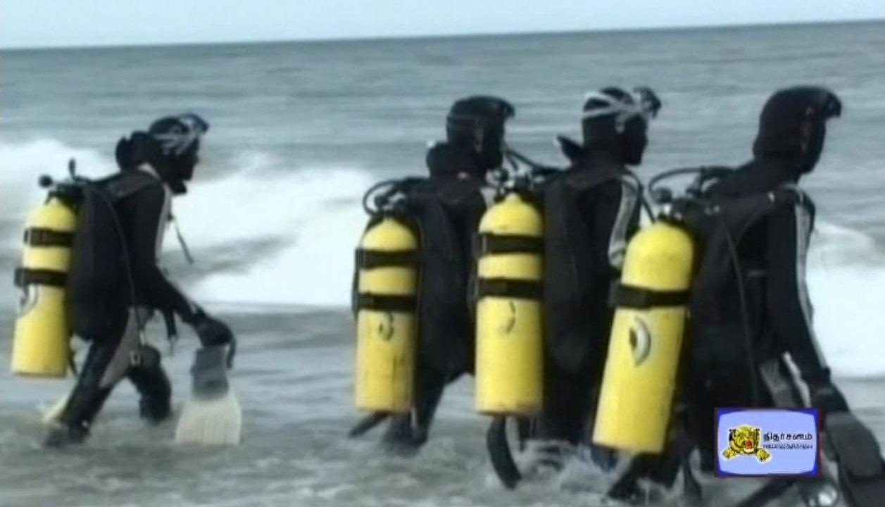 Under Water Black Tigers.jpg