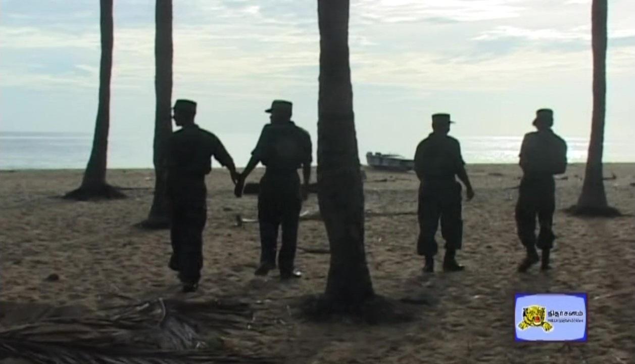 Sea Black Tigers m.jpg