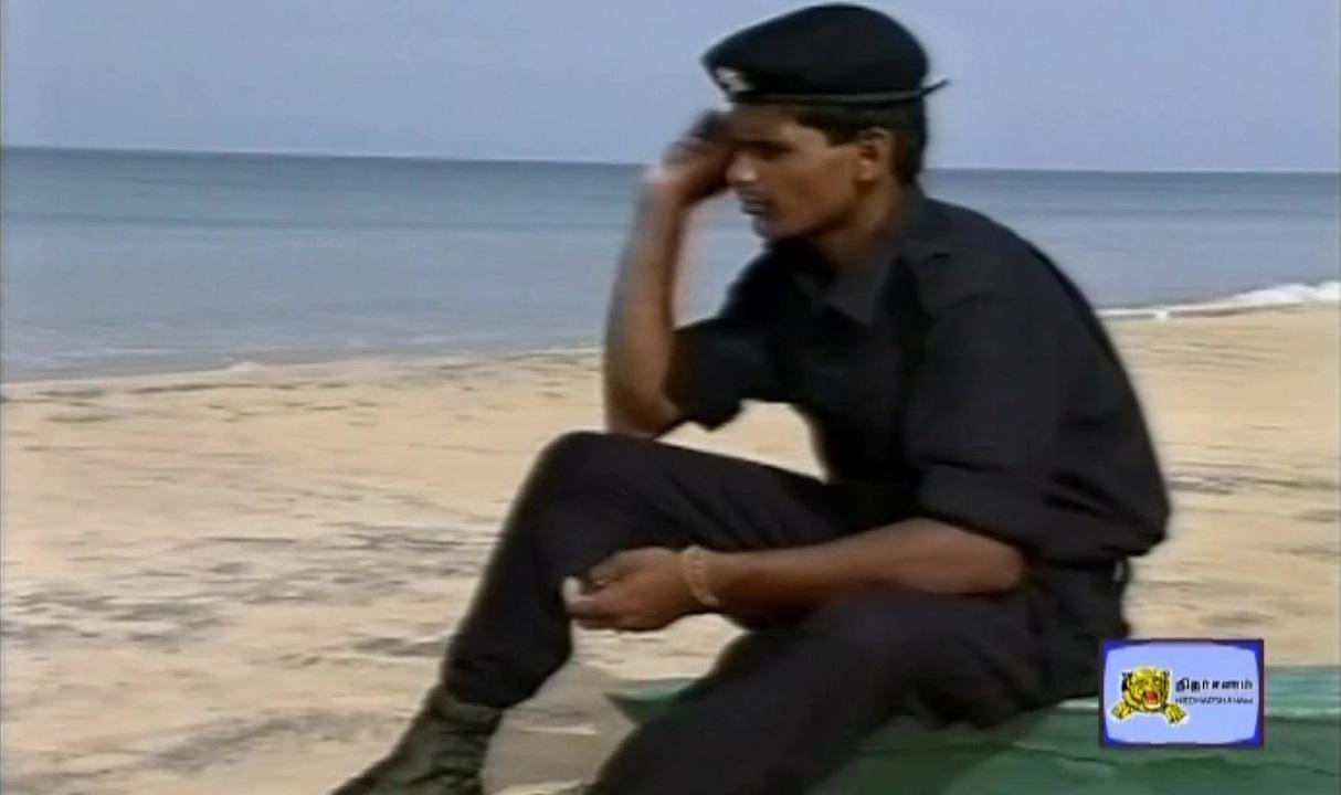 A Sea Black Tiger.jpg