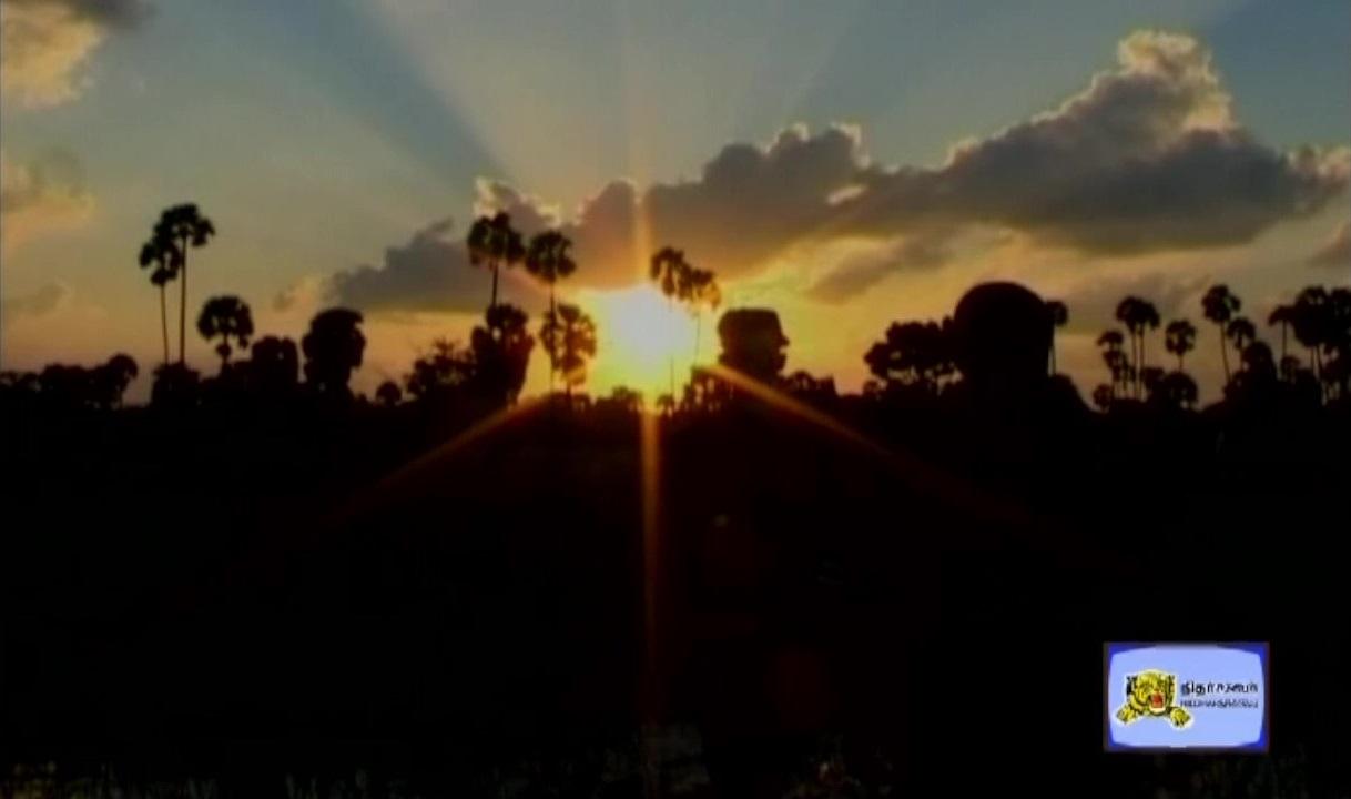 Land Black Tigers evening scenerio.jpg